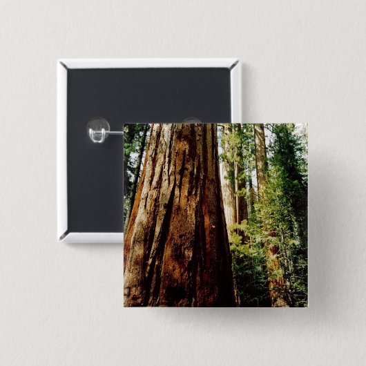 Rothölzer Yosemite Button (Vorne & Hinten)