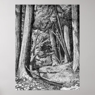 Rotholzpark Poster