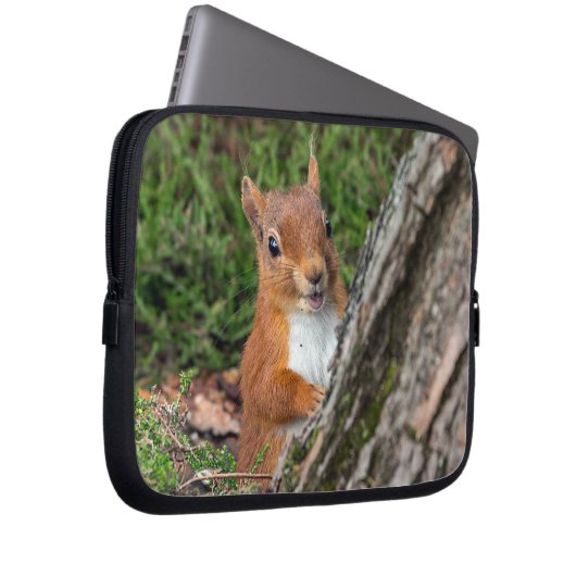Rothörnchen Laptopschutzhülle (Vorne Rechts)
