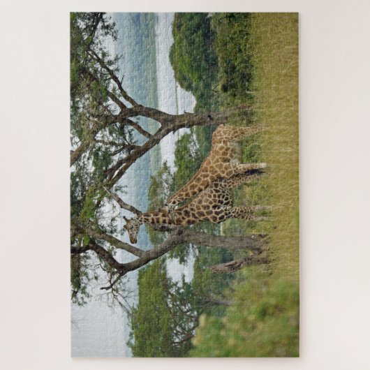 Rothschild-Giraffen Uganda. Jigsaw Puzzle (Vertikal)