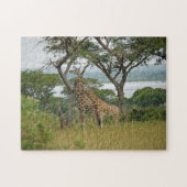 Rothschild-Giraffen Uganda. Puzzle (Horizontal)