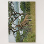 Rothschild-Giraffen Uganda. Puzzle (Vertikal)