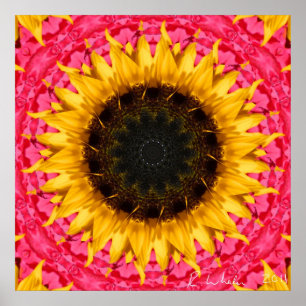 Rotierende Sonnenblume Poster