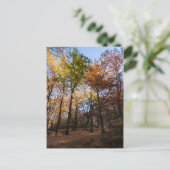 Rotino, Mazedonien Postkarte (Stehend Vorderseite)