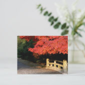 Rotjapanischer Ahorn Postkarte (Stehend Vorderseite)