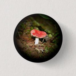 Rotkapp-Täubling-Pilz Button