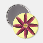 Rotkäppchen Magnet (Vorderseite/Rückseite)