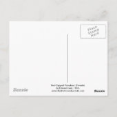 Rotkapper Parrakeet (Weiblich) von Edward Lear Postkarte (Rückseite)