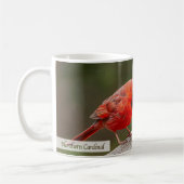 Rotkardinal Psalm 145:14 KJV Kaffeetasse (Links)