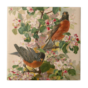 Rotkehlchen 1896 fliese
