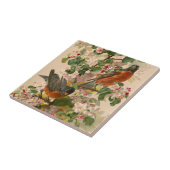Rotkehlchen 1896 fliese (Seite)