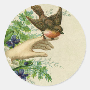 Rotkehlchen auf der Hand Runder Aufkleber