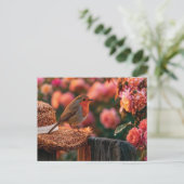 Rotkehlchen auf Strohhut im Rosengarten Postkarte (Stehend Vorderseite)
