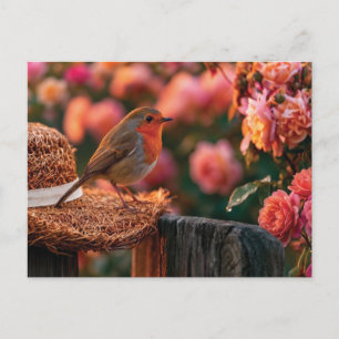 Rotkehlchen auf Strohhut im Rosengarten Postkarte