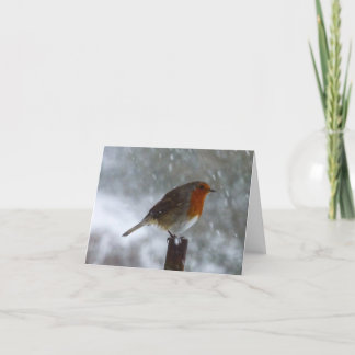 Rotkehlchen auf Winter-Feiertagskarte Feiertagskarte