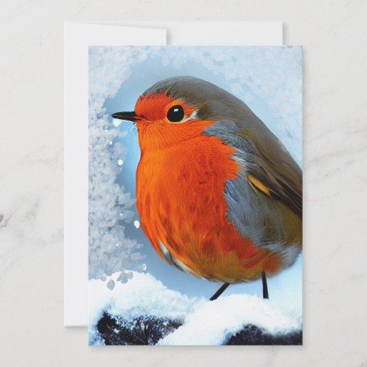 Rotkehlchen Dankeskarte (Vorderseite)