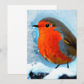 Rotkehlchen Dankeskarte (Vorne/Hinten)