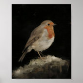Rotkehlchen-Erbe-Vogelposter Poster (Vorne)