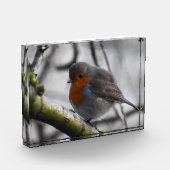 Rotkehlchen  fotoblock (Links)