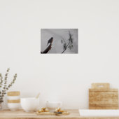 Rotkehlchen im Winter Poster (Küche)