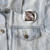 Rotkehlchen in den Bäumen Button (Beispiel)