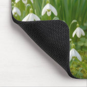 Rotkehlchen in einem Frühlingsgarten Mousepad (Ecke)