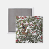 Rotkehlchen in einem heiligen Baum nach einem Schn Magnet (Vorderseite/Rückseite)