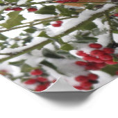 Rotkehlchen in einem heiligen Baum nach einem Schn Poster (Ecke)