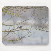 Rotkehlchen-Mausmatte Mousepad (Vorne)