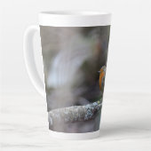 Rotkehlchen Milchtasse (Linke Ecke)