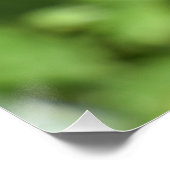 Rotkehlchen  poster (Ecke)