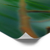 Rotkehlchen Poster (Ecke)