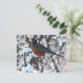 Rotkehlchen Postkarte (Stehend Vorderseite)