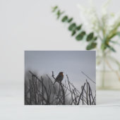 Rotkehlchen Postkarte (Stehend Vorderseite)