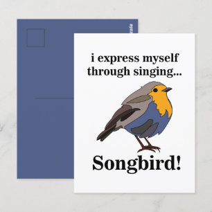 Rotkehlchen Singvogel Postkarte