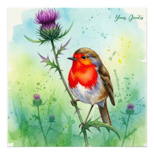 Rotkehlchen und Distelblüten - Botanisches Aquarel Fotodruck