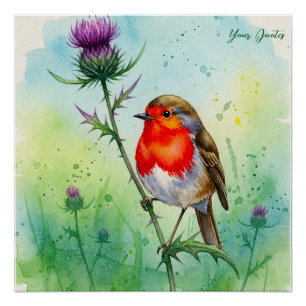 Rotkehlchen und Distelblüten - Botanisches Aquarel Poster