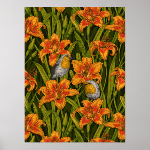 Rotkehlchen und Lilienblumen, orange und dunkelgrü Poster