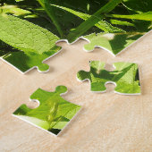 Rotkehlchen versteckt sich puzzle (Seite)