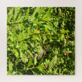 Rotkehlchen versteckt sich puzzle (Horizontal)