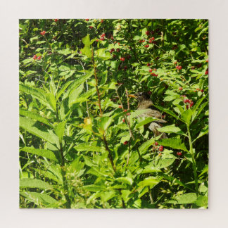 Rotkehlchen versteckt sich puzzle
