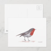 Rotkehlchen Vogel Postkarte (Vorne/Hinten)