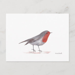 Rotkehlchen Vogel Postkarte