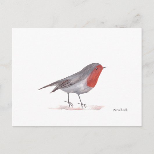 Rotkehlchen Vogel Postkarte (Vorderseite)