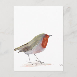 Rotkehlchen Vogel Postkarte