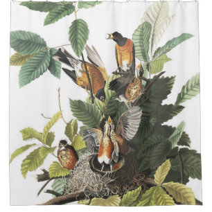 Rotkehlchen-Wildlife-Nest-Audubon-Duschvorhang Duschvorhang