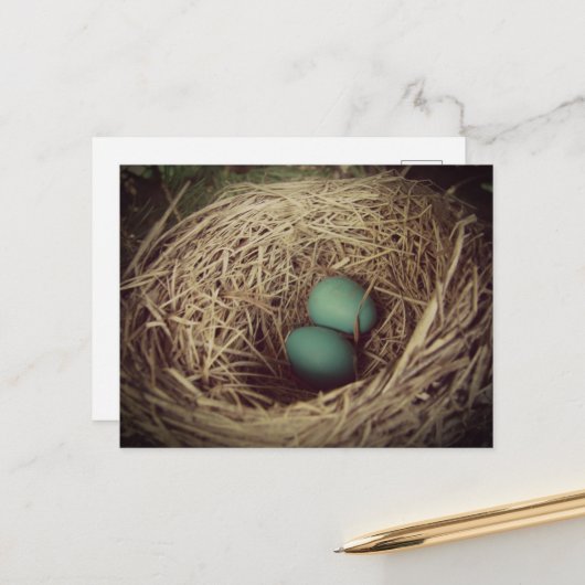 Rotkehlcheneier im Nest Postkarte (Vorderseite/Rückseite Beispiel)