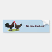 Rotkehlhühner Autoaufkleber (Vorne)