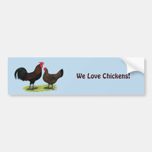 Rotkehlhühner Autoaufkleber (Vorne)