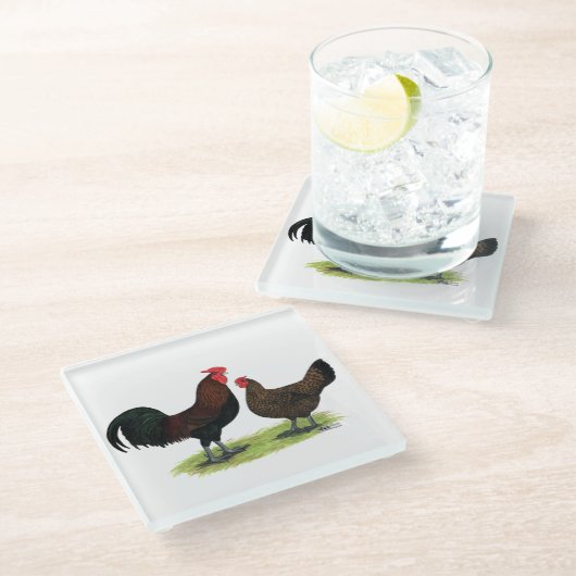 Rotkehlhühner Glasuntersetzer (Schrägansicht)